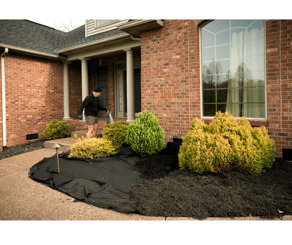 Fresh mulch installation around a brick home in Charlottesville, Virginia